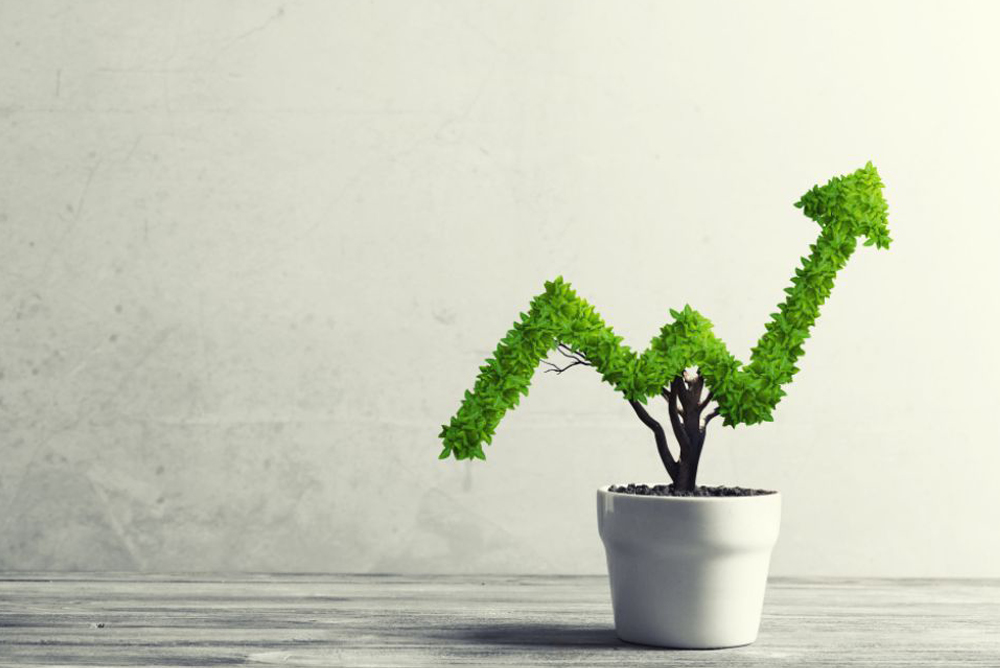 Investment Banking